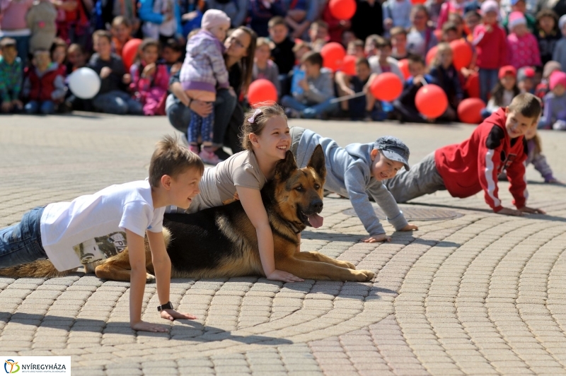 Rendvédelmi nap Nyíregyházán 20160505