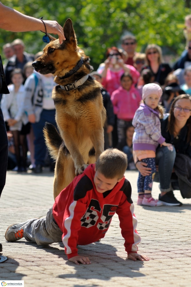 Rendvédelmi nap Nyíregyházán 20160505