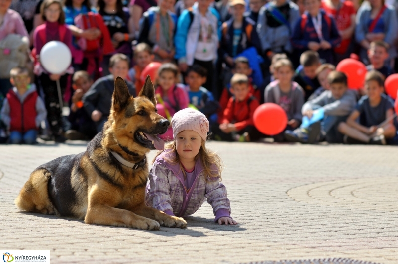 Rendvédelmi nap Nyíregyházán 20160505