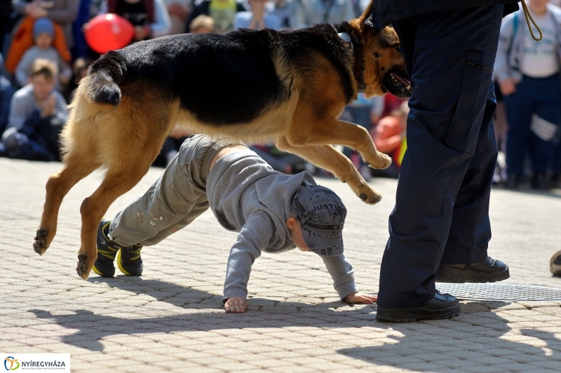 Rendvédelmi nap Nyíregyházán 20160505