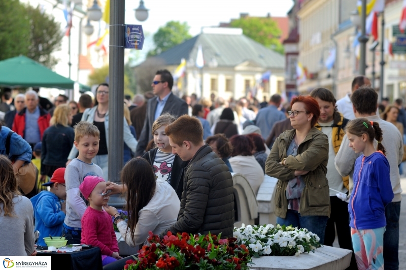 Paniaga ünnep és testvérvárosi találkozó Rzeszówban II.