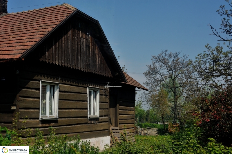 Paniaga ünnep és testvérvárosi találkozó Rzeszówban III.