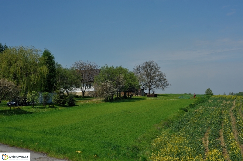 Paniaga ünnep és testvérvárosi találkozó Rzeszówban III.