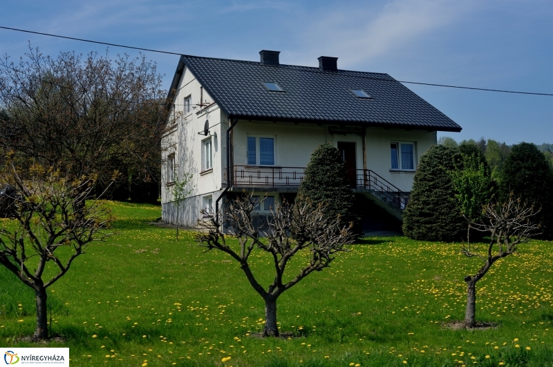 Paniaga ünnep és testvérvárosi találkozó Rzeszówban III.