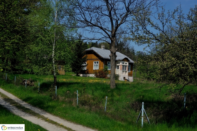 Paniaga ünnep és testvérvárosi találkozó Rzeszówban III.