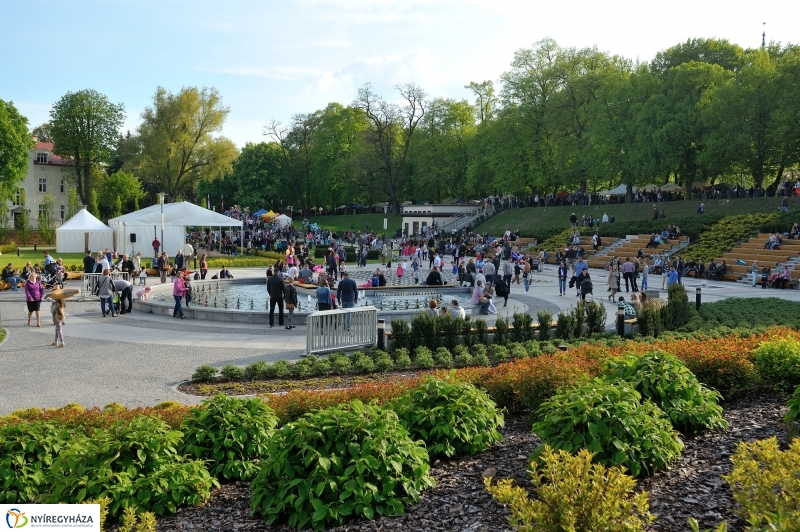 Paniaga ünnep és testvérvárosi találkozó Rzeszówban III.