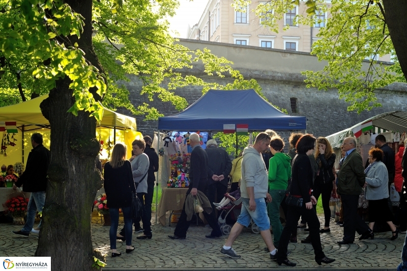 Paniaga ünnep és testvérvárosi találkozó Rzeszówban III.