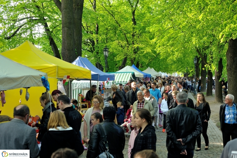 Paniaga ünnep és testvérvárosi találkozó Rzeszówban III.