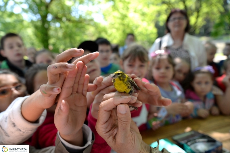 Madarak és fák napja a Botanikus kertben