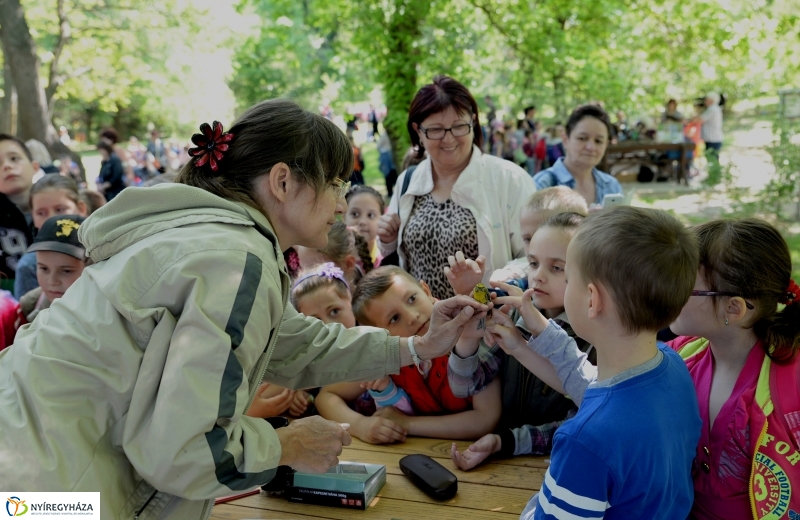 Madarak és fák napja a Botanikus kertben