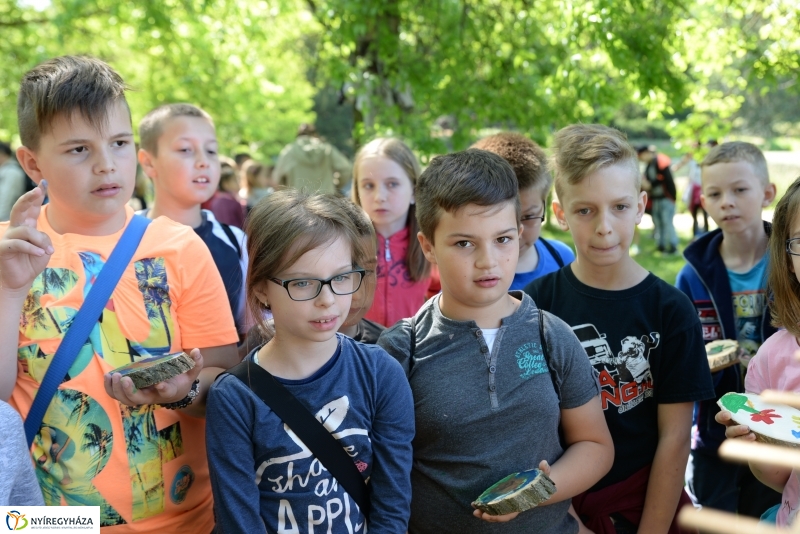 Madarak és fák napja a Botanikus kertben