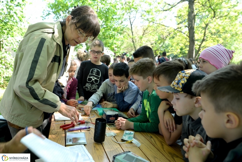 Madarak és fák napja a Botanikus kertben