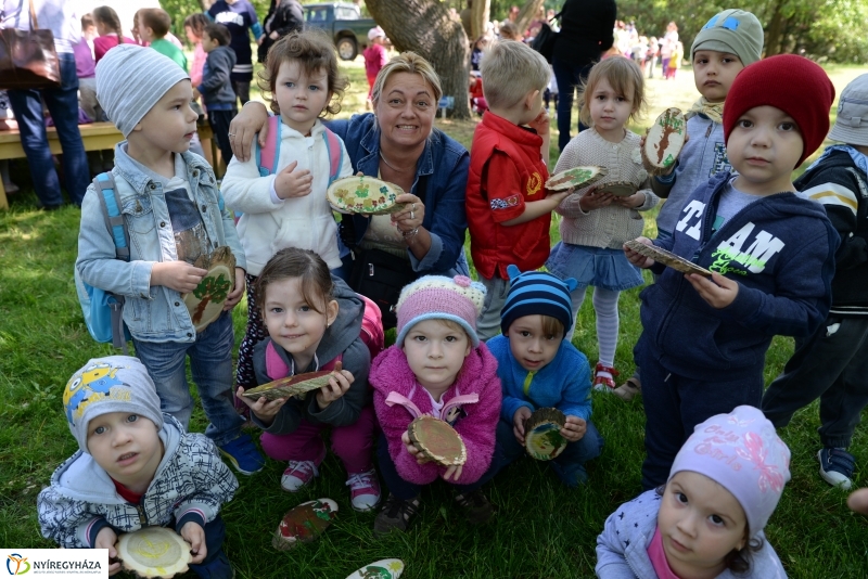 Madarak és fák napja a Botanikus kertben
