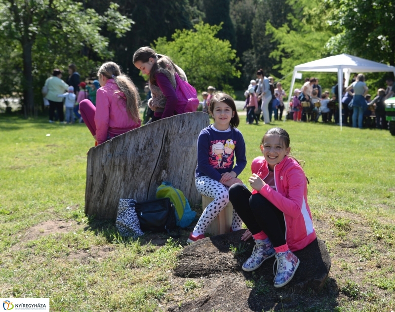 Madarak és fák napja a Botanikus kertben