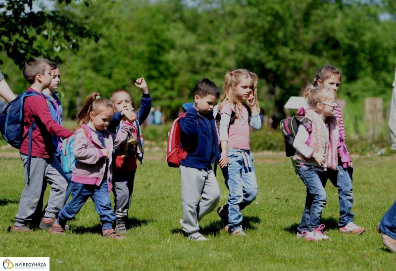 Madarak és fák napja a Botanikus kertben