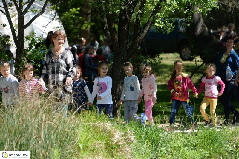 Madarak és fák napja a Botanikus kertben