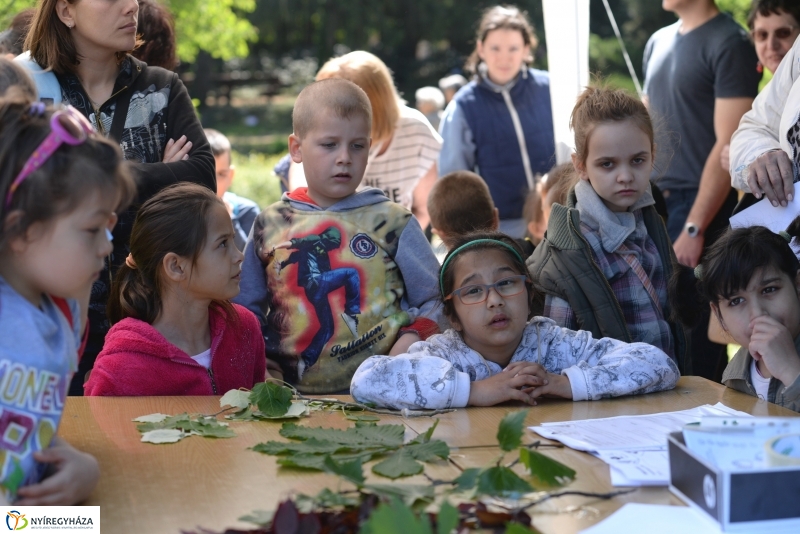Madarak és fák napja a Botanikus kertben