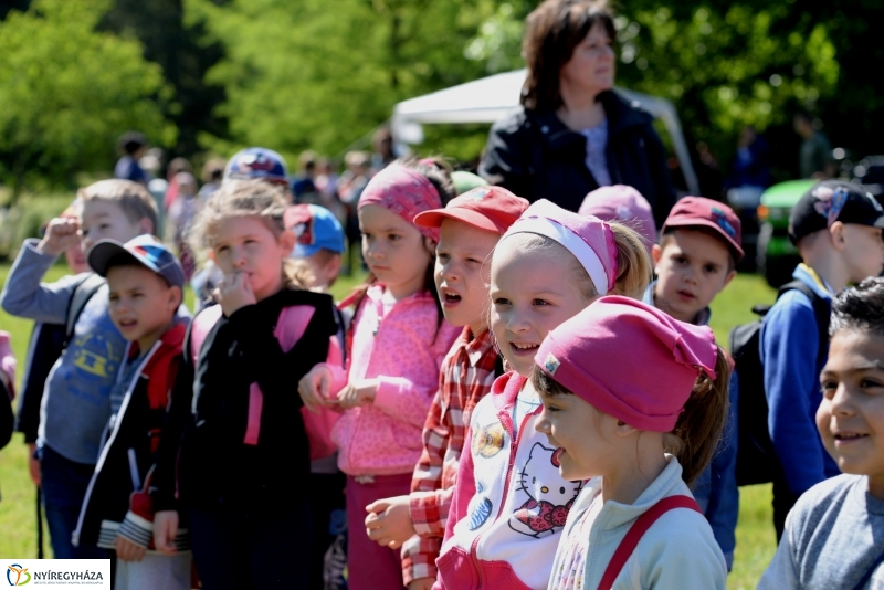 Madarak és fák napja a Botanikus kertben