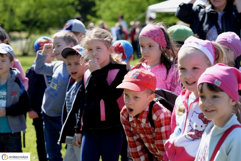 Madarak és fák napja a Botanikus kertben