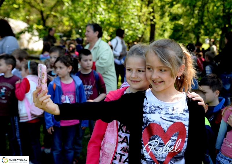 Madarak és fák napja a Botanikus kertben