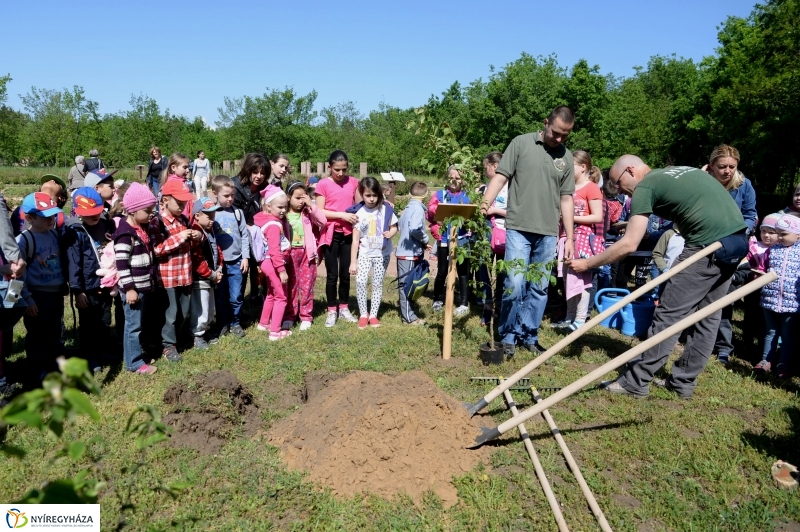 Madarak és fák napja a Botanikus kertben
