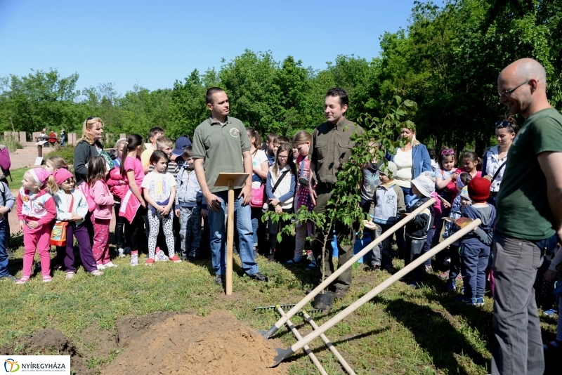 Madarak és fák napja a Botanikus kertben