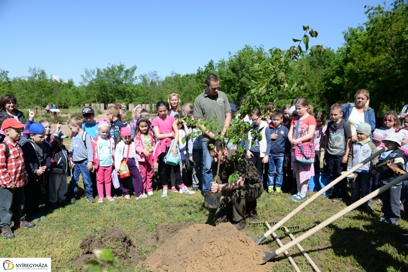 Madarak és fák napja a Botanikus kertben