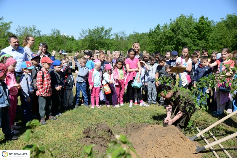 Madarak és fák napja a Botanikus kertben