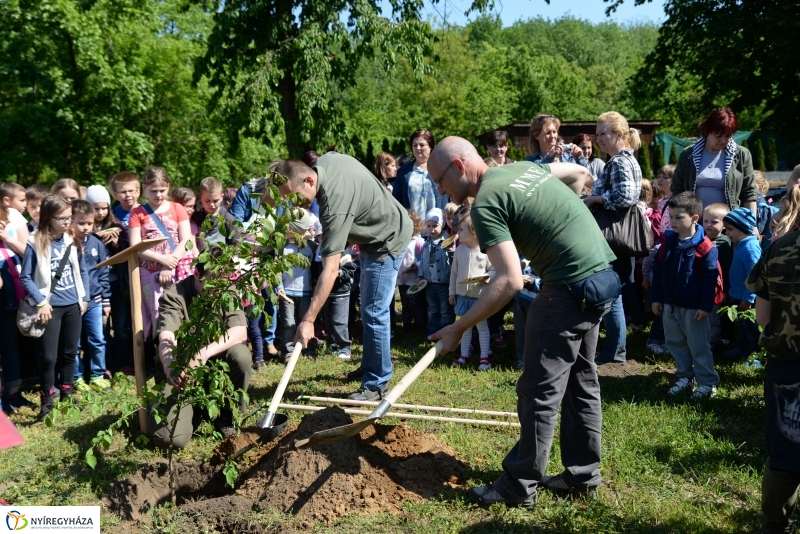 Madarak és fák napja a Botanikus kertben
