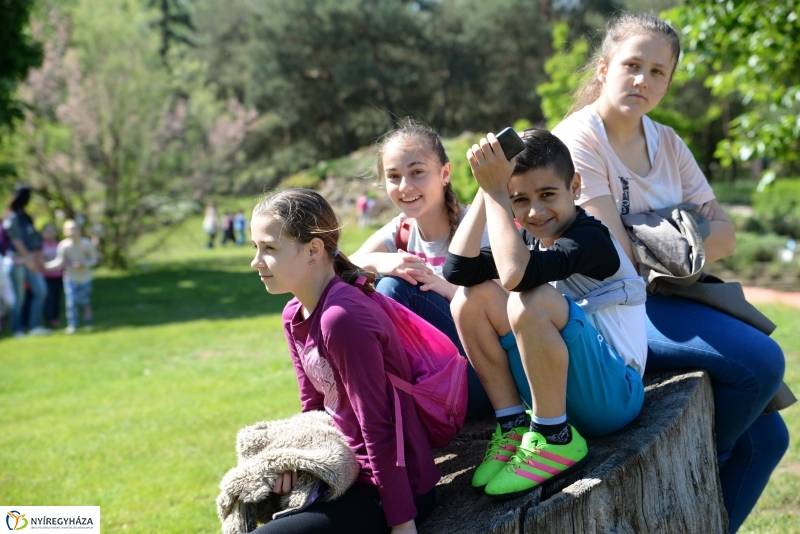 Madarak és fák napja a Botanikus kertben