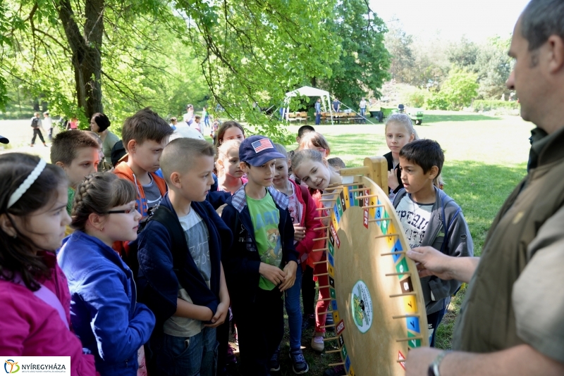 Madarak és fák napja a Botanikus kertben