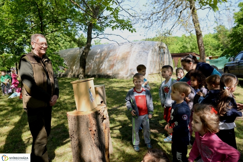 Madarak és fák napja a Botanikus kertben