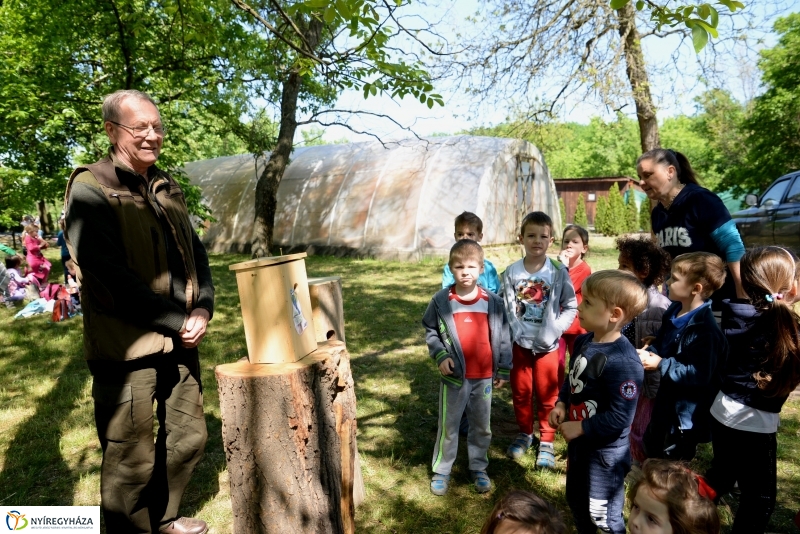 Madarak és fák napja a Botanikus kertben