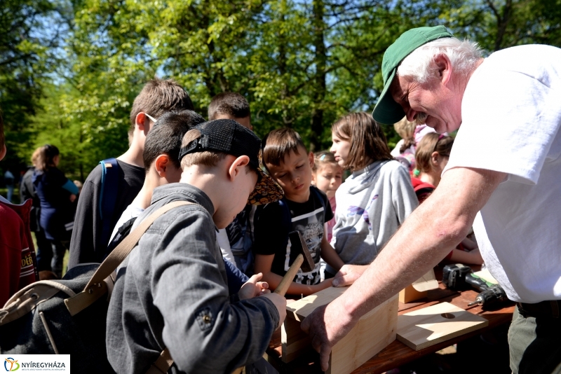 Madarak és fák napja a Botanikus kertben