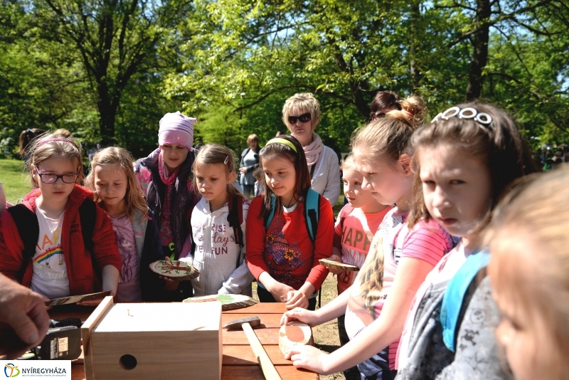 Madarak és fák napja a Botanikus kertben