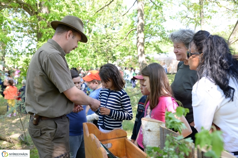 Madarak és fák napja a Botanikus kertben
