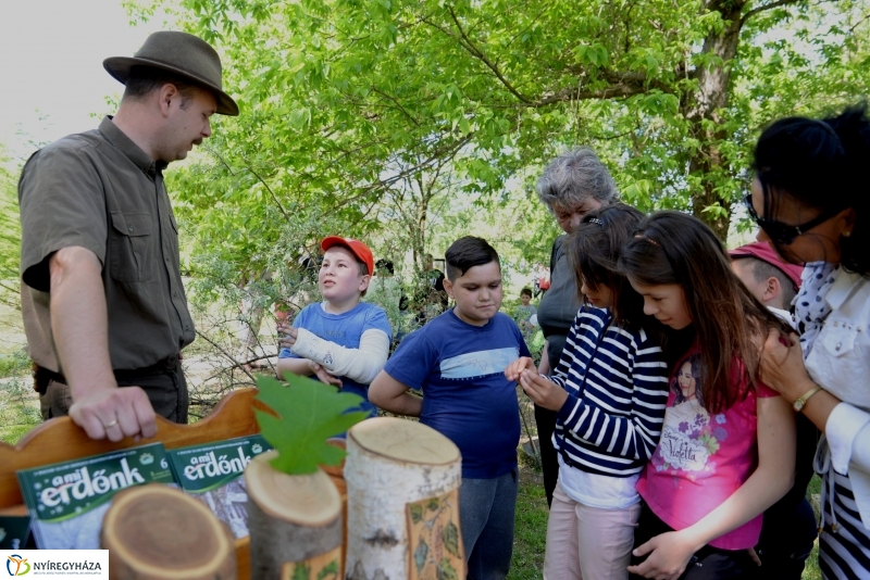 Madarak és fák napja a Botanikus kertben