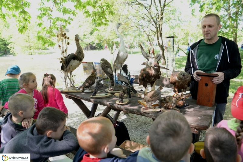 Madarak és fák napja a Botanikus kertben