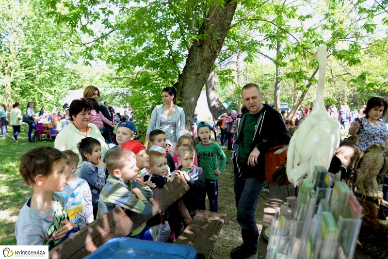 Madarak és fák napja a Botanikus kertben