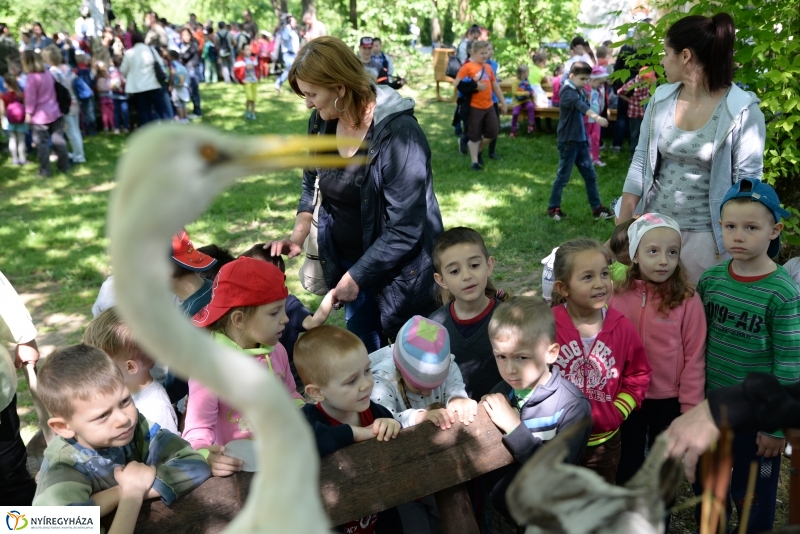 Madarak és fák napja a Botanikus kertben
