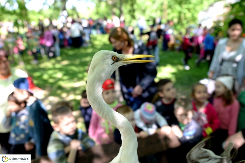 Madarak és fák napja a Botanikus kertben