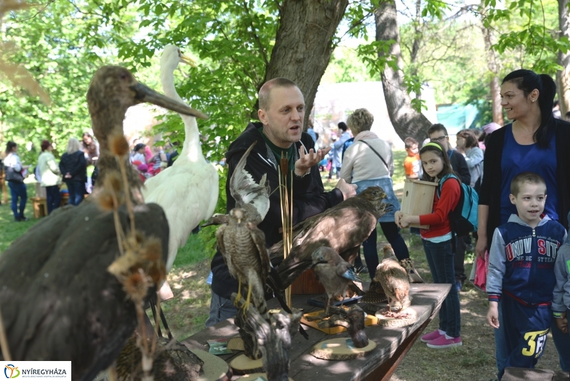 Madarak és fák napja a Botanikus kertben