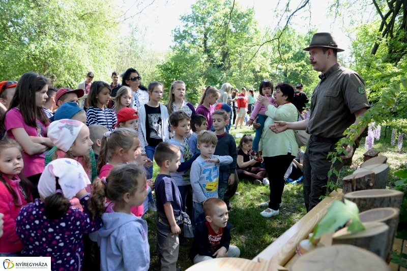 Madarak és fák napja a Botanikus kertben
