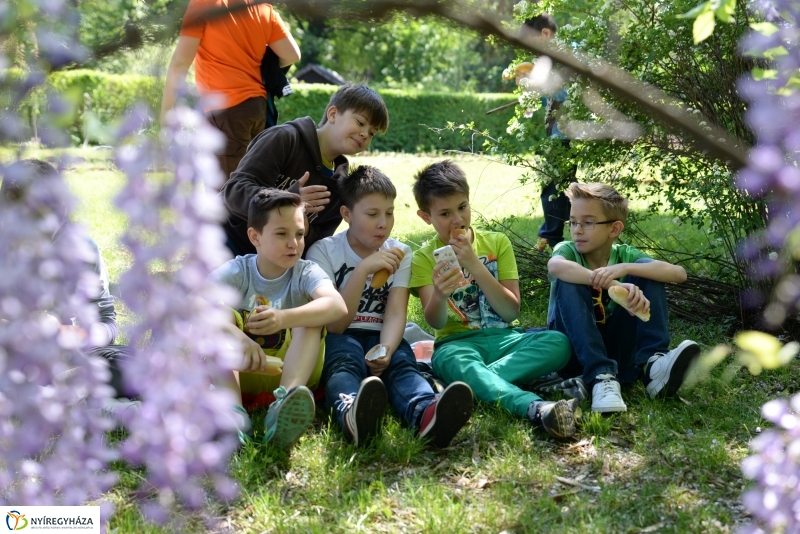 Madarak és fák napja a Botanikus kertben