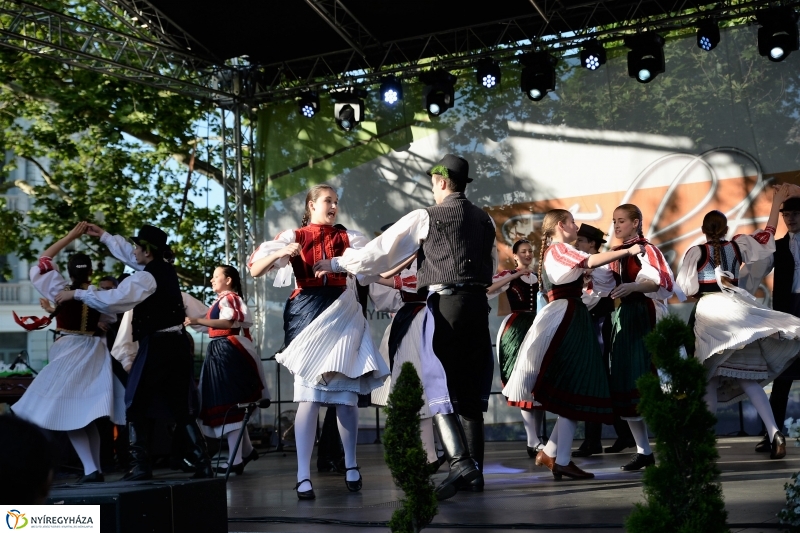 A Városnap délutáni fellépői a nagyszínpadon