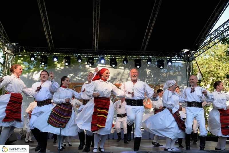 A Városnap délutáni fellépői a nagyszínpadon