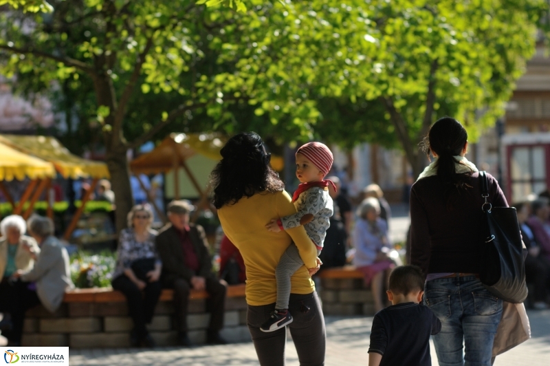 Színpadi programok megnyitója