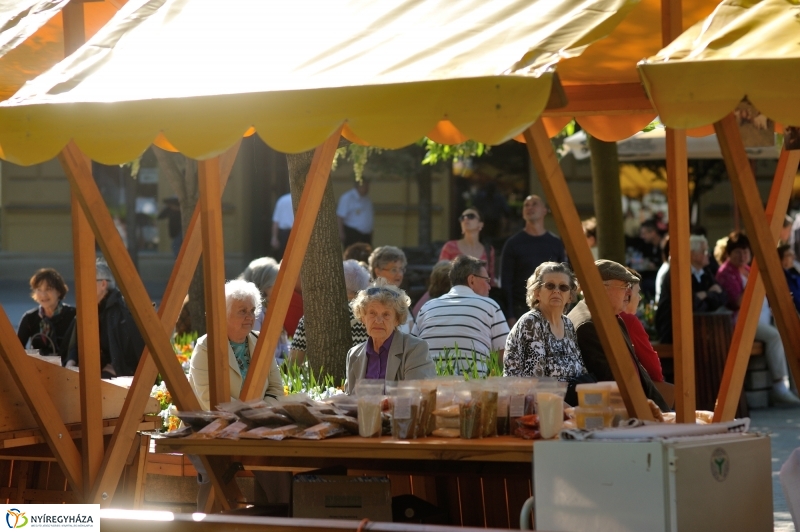 Színpadi programok megnyitója
