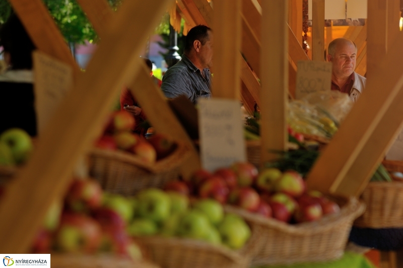 Színpadi programok megnyitója