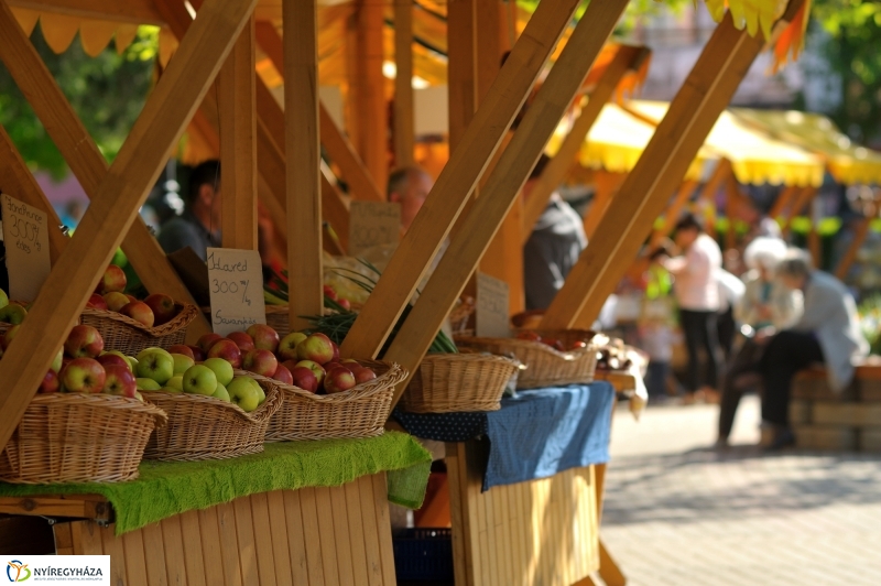 Színpadi programok megnyitója